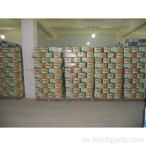 Größen150-200g Frische Karotten im Karton